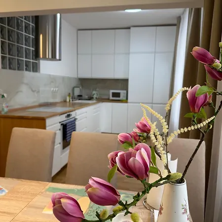 Galaxy 2 Apartment Karlovy Vary
